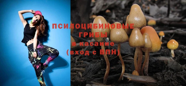 ПСИЛОЦИБИНОВЫЕ ГРИБЫ Арсеньев