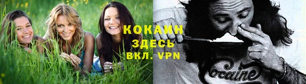 ПСИЛОЦИБИНОВЫЕ ГРИБЫ Арсеньев