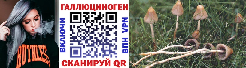 Псилоцибиновые грибы Psilocybe blacksprut как войти Омутнинск